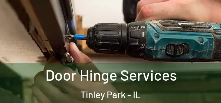 Door Hinge Services Tinley Park - IL