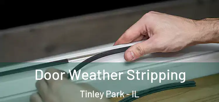 Door Weather Stripping Tinley Park - IL
