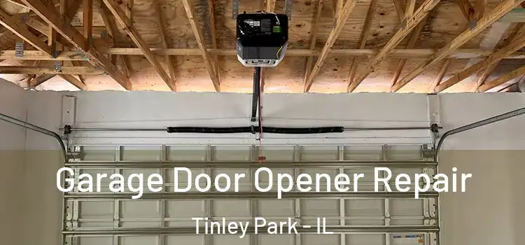  Garage Door Opener Repair Tinley Park - IL