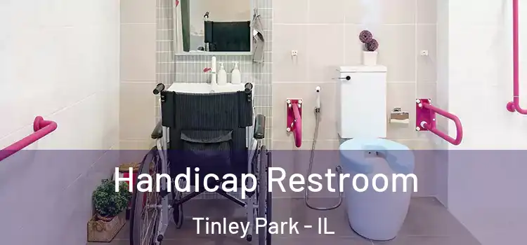 Handicap Restroom Tinley Park - IL