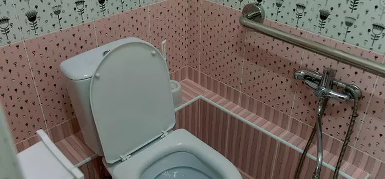 Meeting Diverse Needs With Accessible Restroom Solutions in Tinley Park, IL
