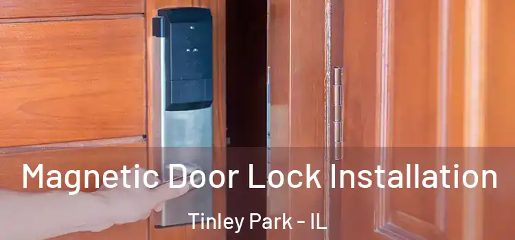  Magnetic Door Lock Installation Tinley Park - IL